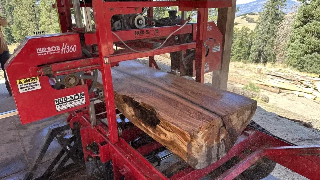 milling Eucalyptus Slabs