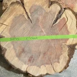 Redwood Cookie