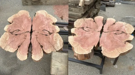 Redwood Cookie Redwood Cookie
