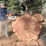 Redwood Cookie Cutting Sections