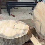 Oak Cookie