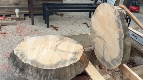 Oak Cookie Oak Cookie
