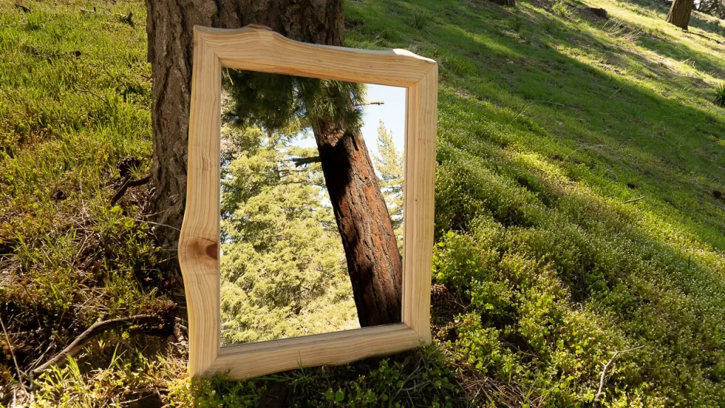 Custom live edge mirror placed at the bottom of a tree reflecting the forest around it