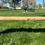 Oak Coffee Table