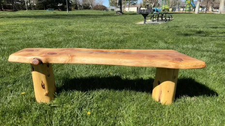 Redwood blue River Bench in a park setting Redwood blue River Bench in a park setting