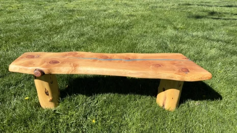 Redwood blue River Bench in a park setting Redwood blue River Bench in a park setting