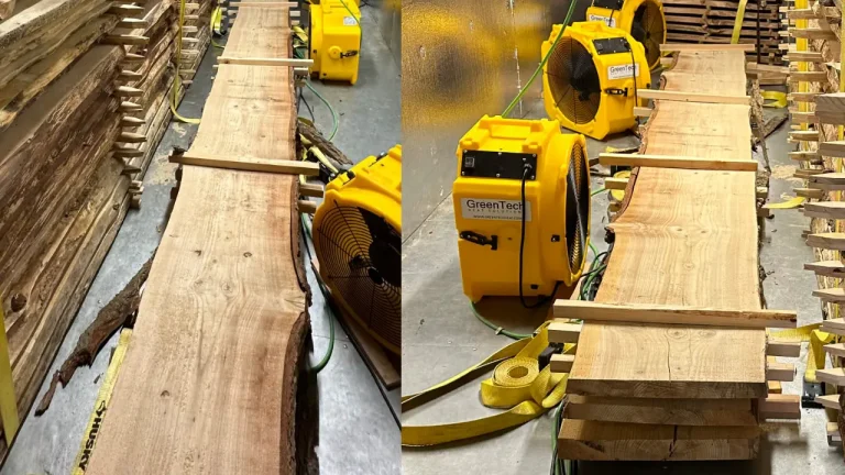 Oak Slabs have just fonished 5 months drying in the kiln