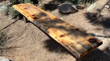 Outdoor Bench under a tree in dappled daylight Outdoor Bench under a tree in dappled daylight