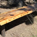 Outdoor Bench under a tree in dappled daylight