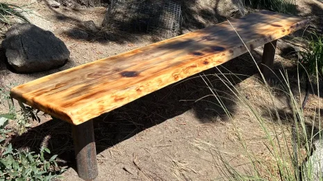 Outdoor Bench under a tree in dappled daylight Outdoor Bench under a tree in dappled daylight