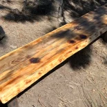 Outdoor Bench under a tree in dappled daylight