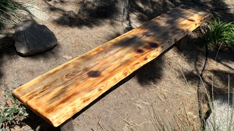 Outdoor Bench under a tree in dappled daylight