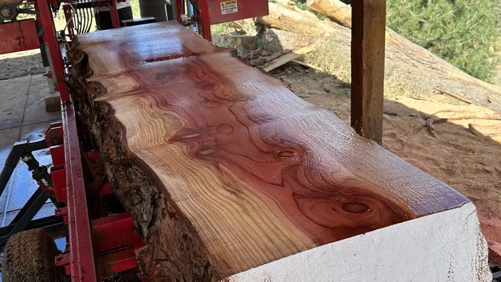 redwood slabs at the mill