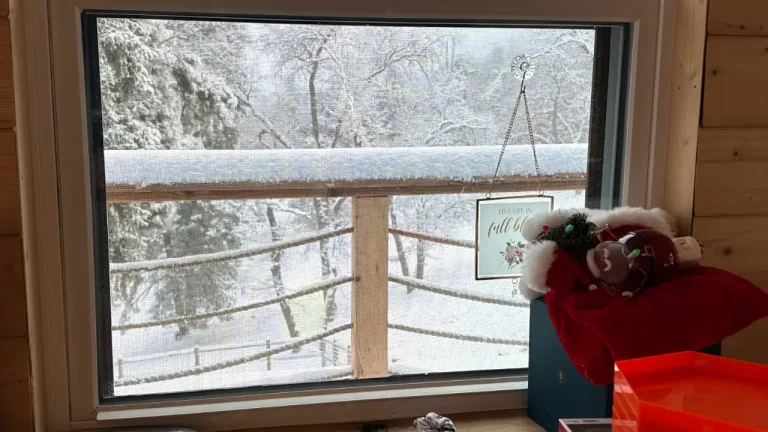 Looking Out Window at a Snowy forest scene