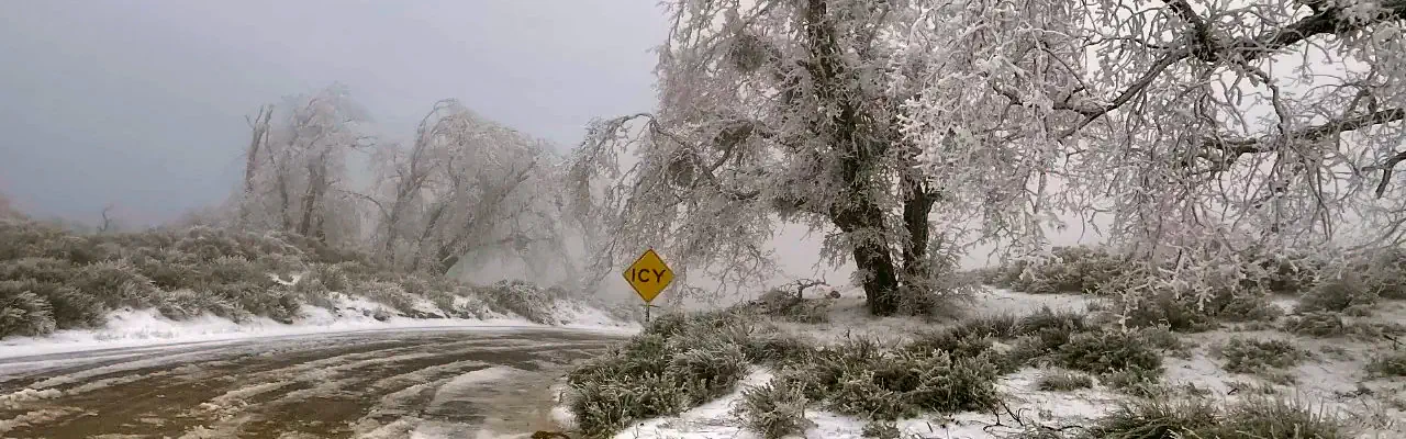Icy Road Snow laden trees