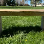 Blue Pine Bench in the park