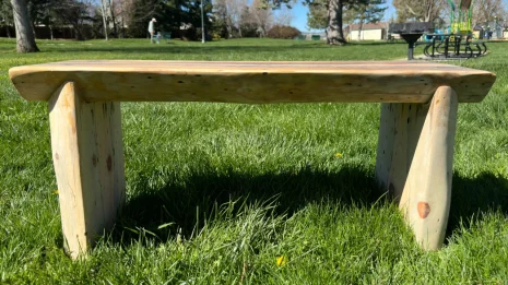 Blue Pine Bench in the park Blue Pine Bench in the park