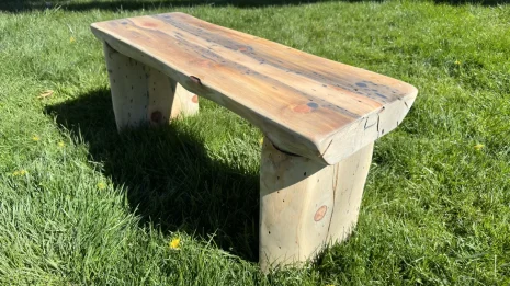 Blue Pine Bench in the park setting Blue Pine Bench in the park setting