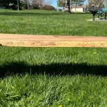 Oak Live Edge Bench in park setting