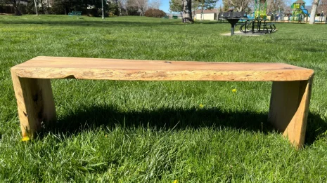 Oak Live Edge Bench in park setting Oak Live Edge Bench in park setting