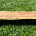 Oak Live Edge Bench in park setting
