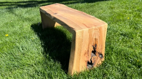 Oak Live Edge Bench in park setting Oak Live Edge Bench in park setting