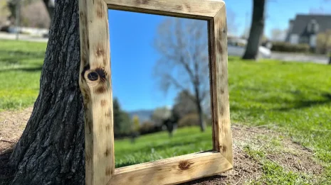 pine live edge mirror in a park setting pine live edge mirror in a park setting