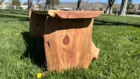 Redwood bench sitting in the grass