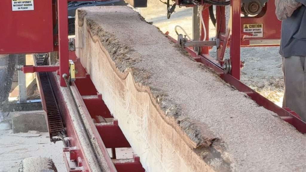 Live Edge Beam