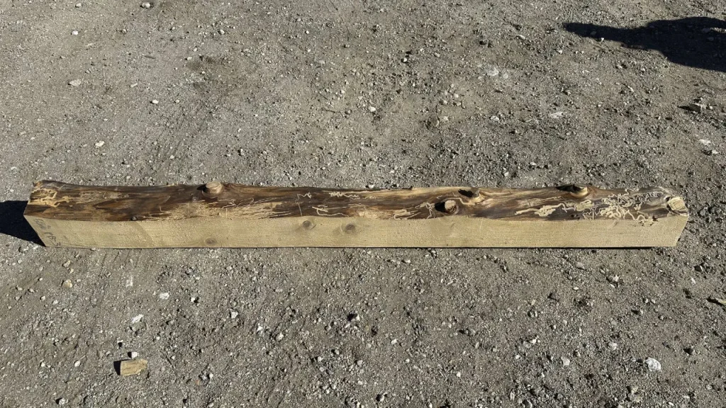 Live Edge Beam