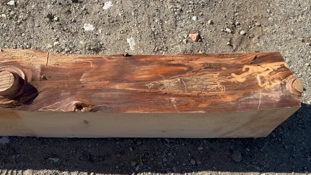Live Edge Beam detail