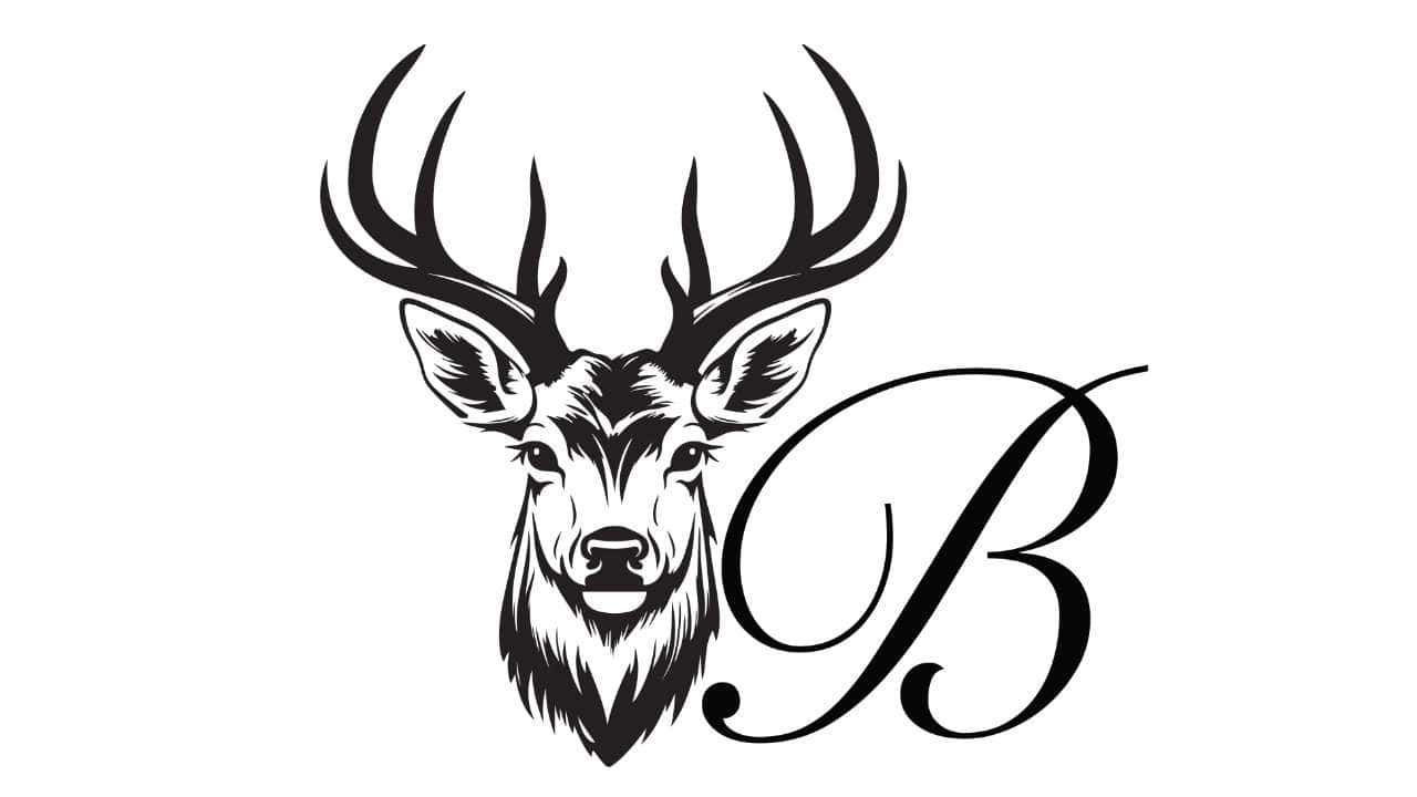 Elk Initial Laser