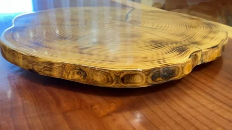 Lazy Susan Side View Lazy Susan Side View