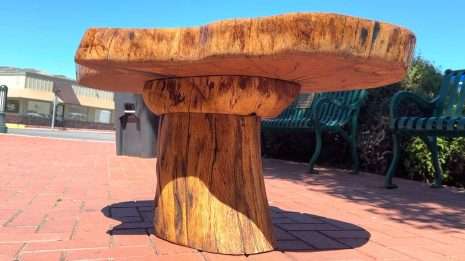 CoffeeTable5 CoffeeTable5