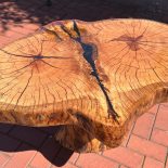 Mushroom Coffee Table