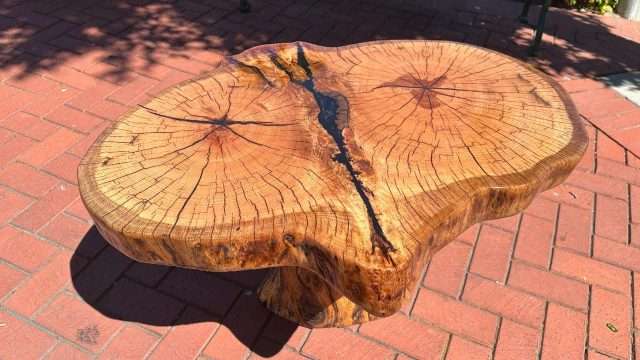 Mushroom Coffee Table