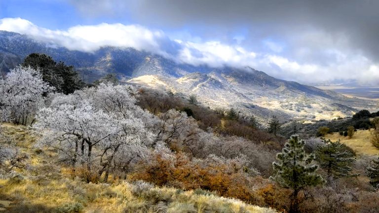 Fall Colors Tehachapi foothills