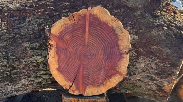 Redwood Cookie