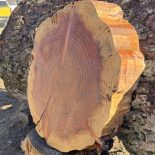 Redwood Cookie