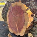 Redwood Cookie
