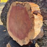Redwood Cookie