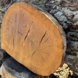 Cookie oval oak