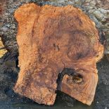 Burl1A