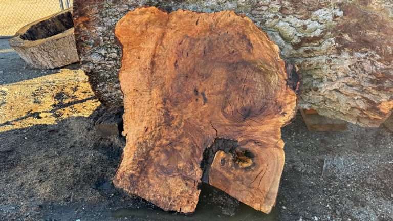 Burls and Root Balls: What You Can Do With Them (and What to Look For When Picking One)