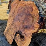 Burl2