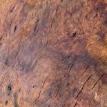 Burl4