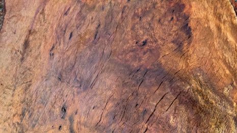 Burl4 Burl4