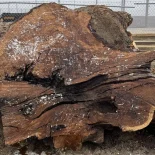 Oak Burl