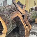 Oak Burl