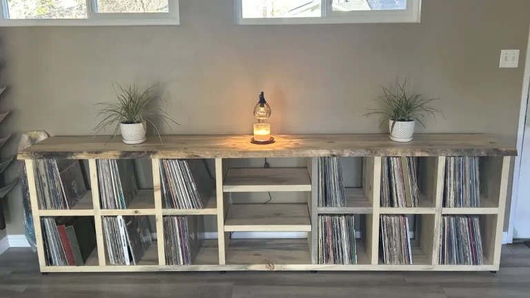Shelving Vinyl Record Storage